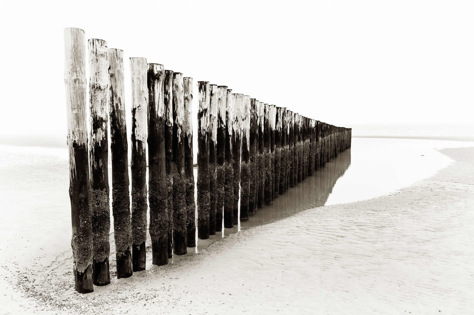 Noordzeestrand